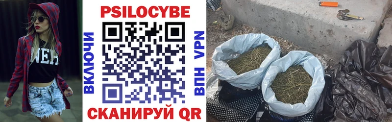 Галлюциногенные грибы Cubensis Североуральск