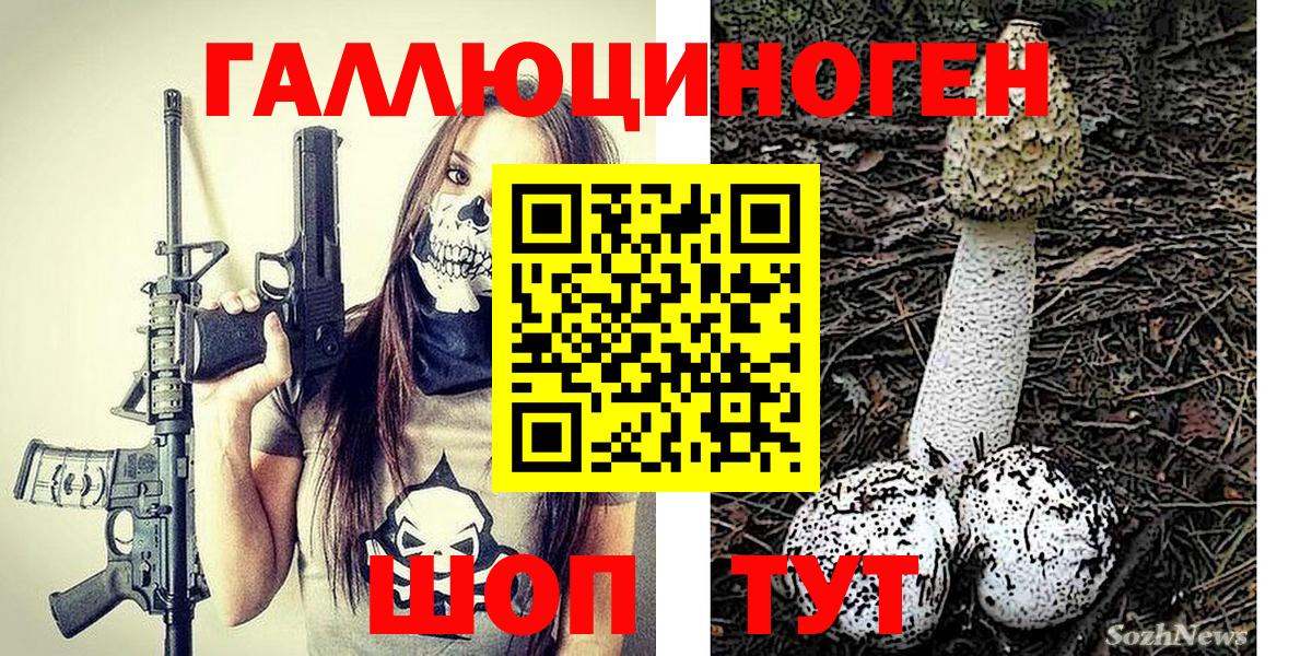 Североуральск  Псилоцибиновые грибы Cubensis  продажа наркотиков  Вход с VPN 