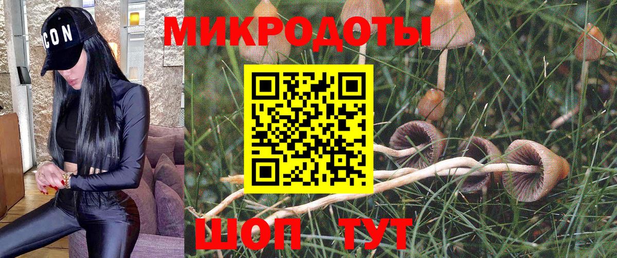 Псилоцибиновые грибы ЛСД Североуральск